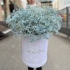 25 голубых гипсофил в бархатной коробке